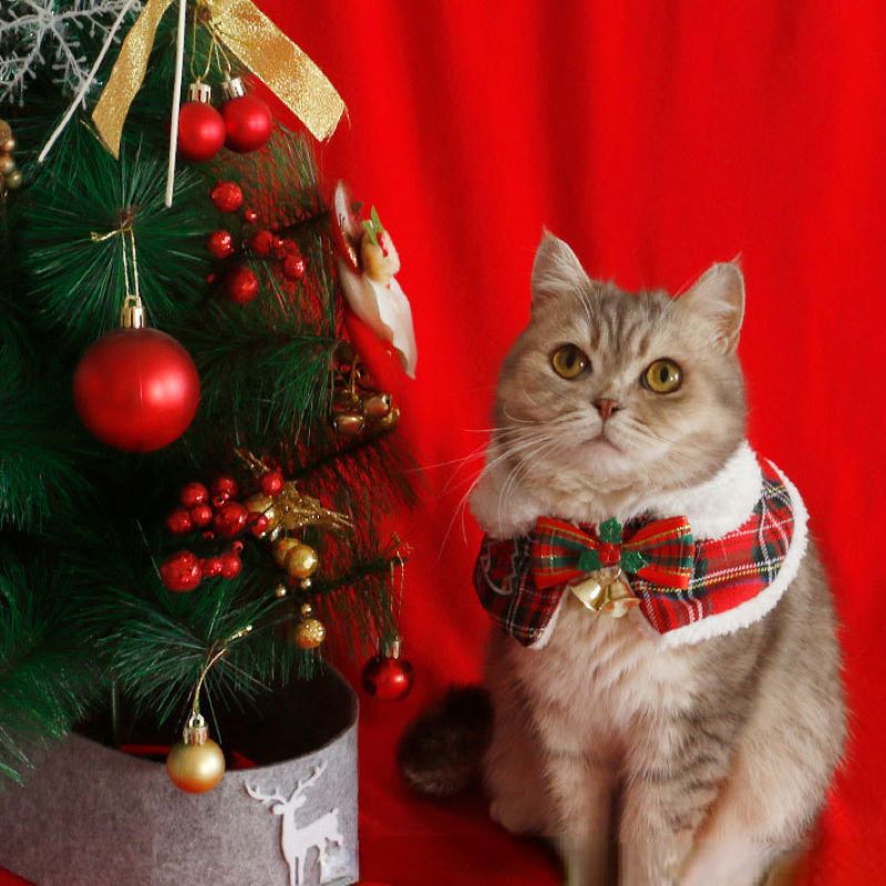Winter Clothing For Dogs - Kat Kerstmantel Huisdier Nieuwjaar Cape Sjaal