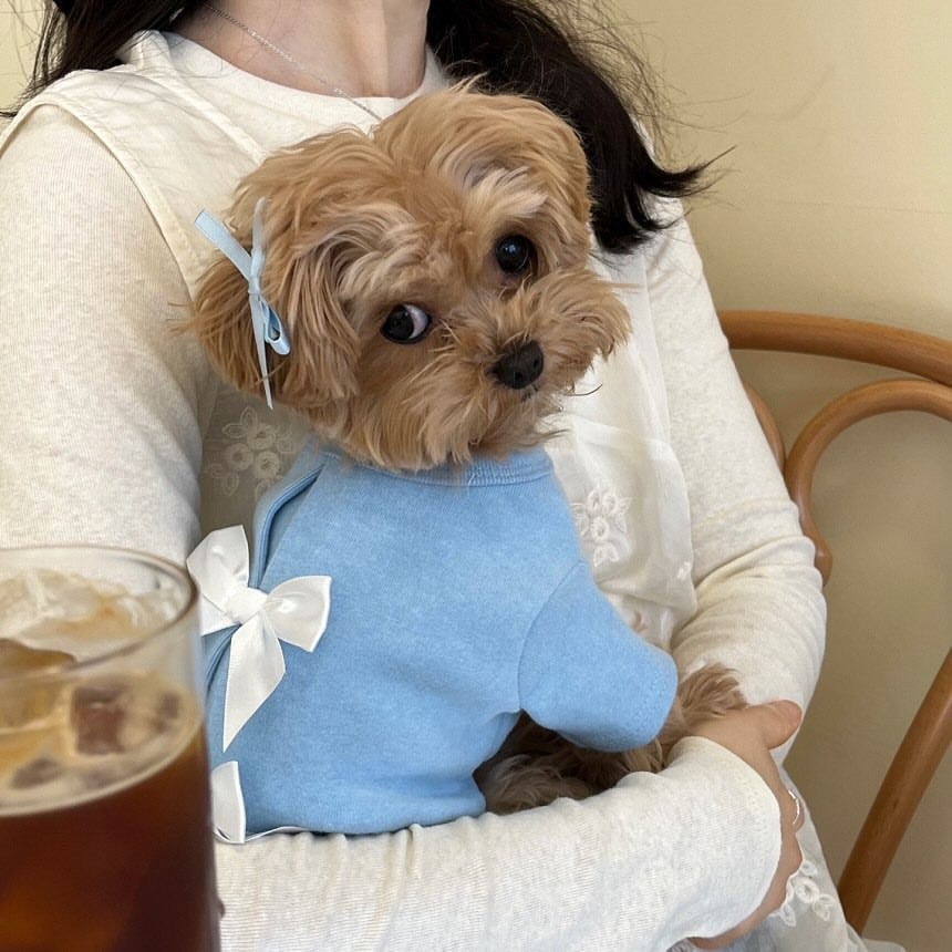 Winter Poedel Dieptepunt Shirt - Winter Clothing For Dogs recensie en prijs