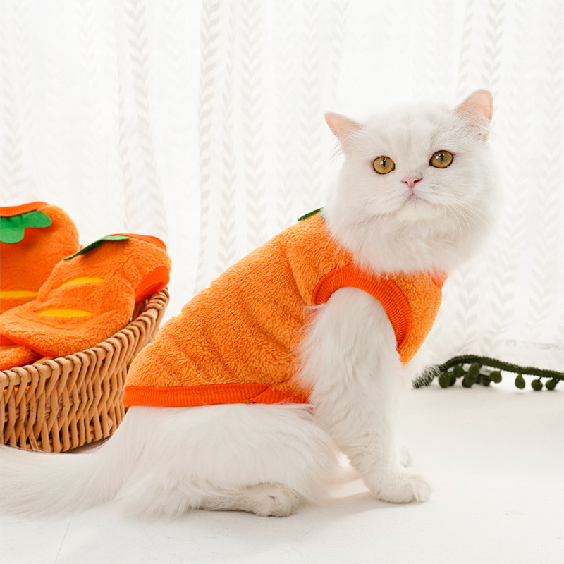 Dierenkleding Winter Warme jas - Winter Clothing For Toddlers recensie en prijs