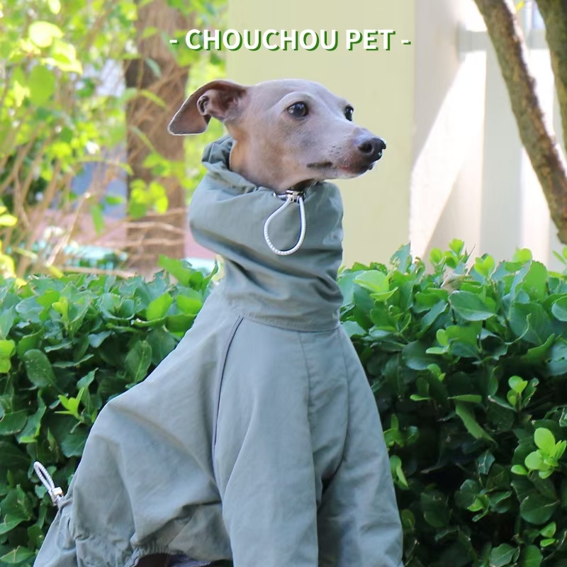 Italiaanse windhond regenjas h - Winter Clothing For Dogs recensie en prijs