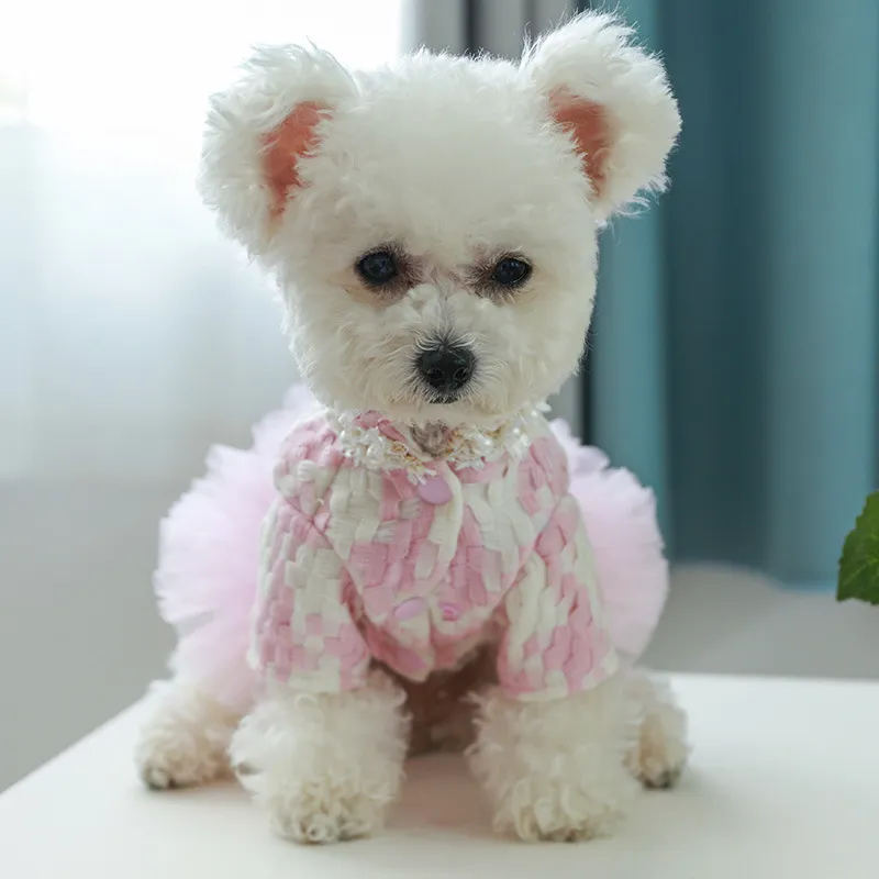 Bg Tutu Ster Hond Jurken Voor  - Winter Clothing For Dogs recensie en prijs