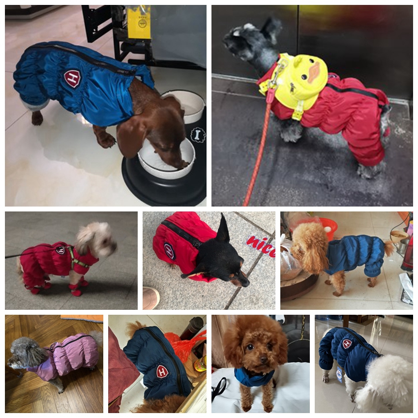 Rits Sneeuw Unisex Hond Waterd - Winter Clothing For Dogs recensie en prijs