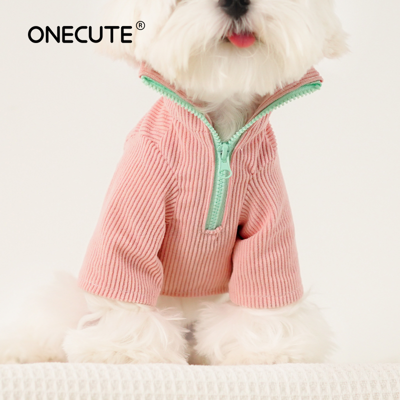 Huisdier tweebenig shirt met r - Winter Clothing For Dogs recensie en prijs