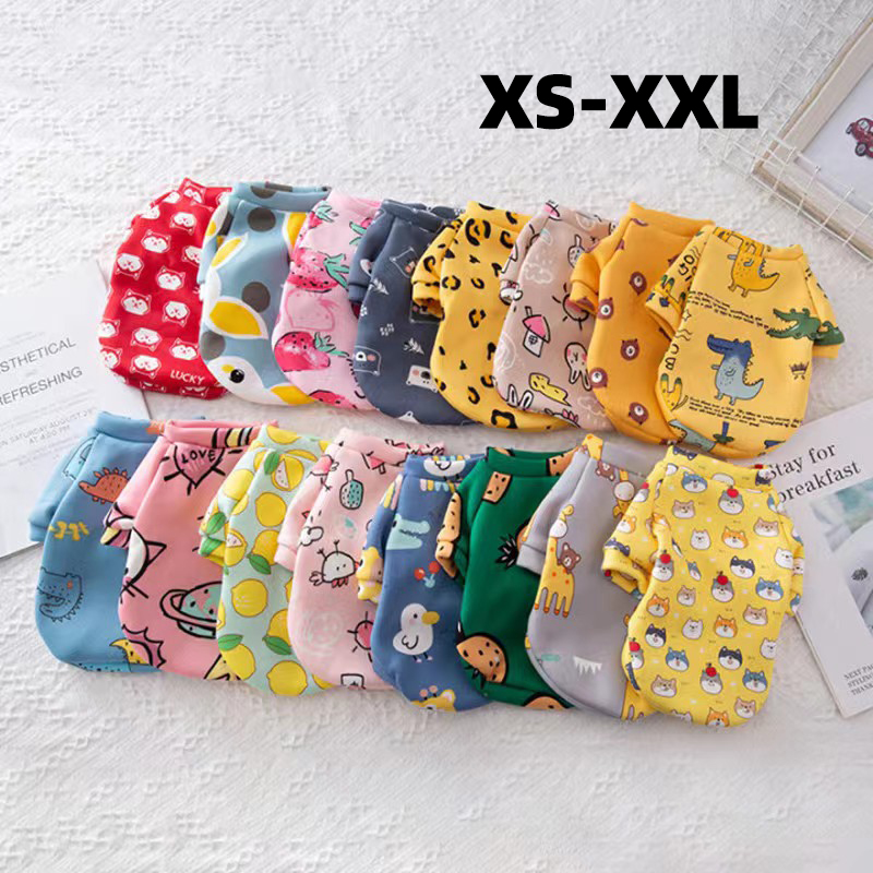 Xs Hondenkleding voor kleine h - Winter Clothing For Toddlers recensie en prijs