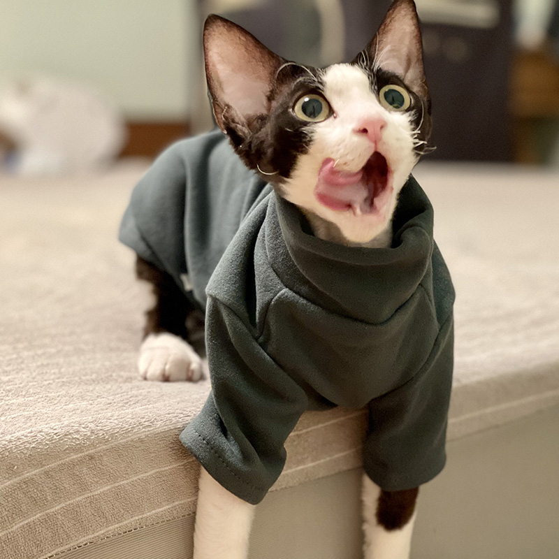 Sphynx kattenkleding baby zach - Winter Clothing For Toddlers recensie en prijs