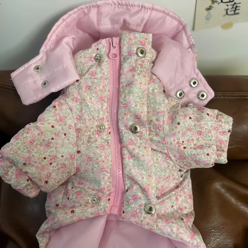 Herfst- en winterkleding voor  - Winter Clothing For Dogs recensie en prijs