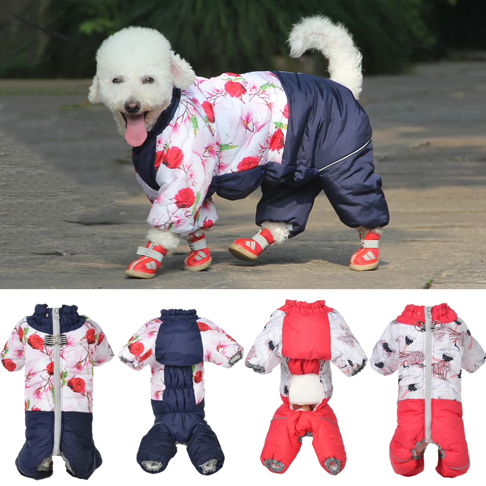 Winterkleding voor huisdieren  - Winter Clothing For Toddlers recensie en prijs